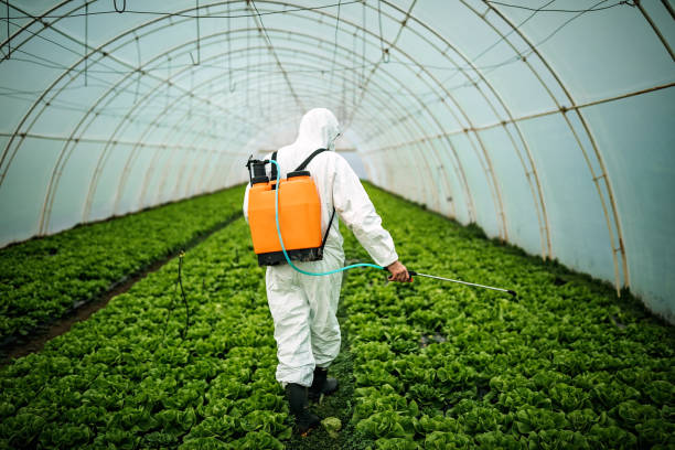 Best Pest Removal Services  in Woxall, PA